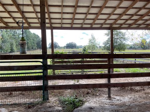 Tiny photo for 13251 SE 120th Street, Dunnellon, FL 34431 (MLS # OM713158)