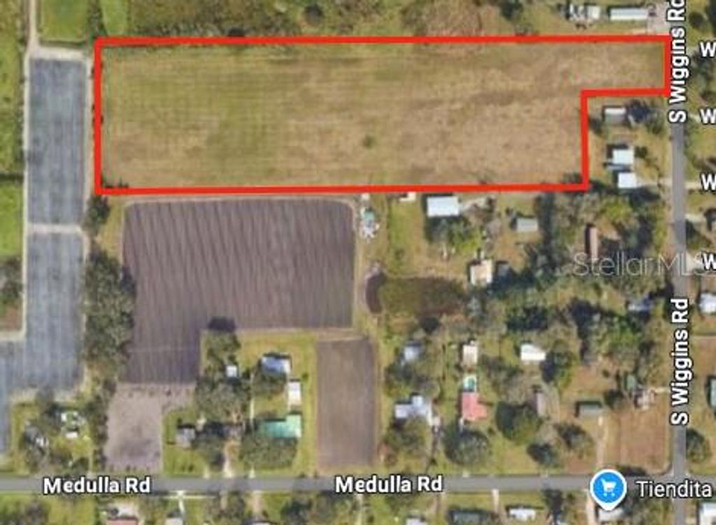 Photo of S Wiggins Road, Plant City, FL 33566 (MLS # TB8431492)
