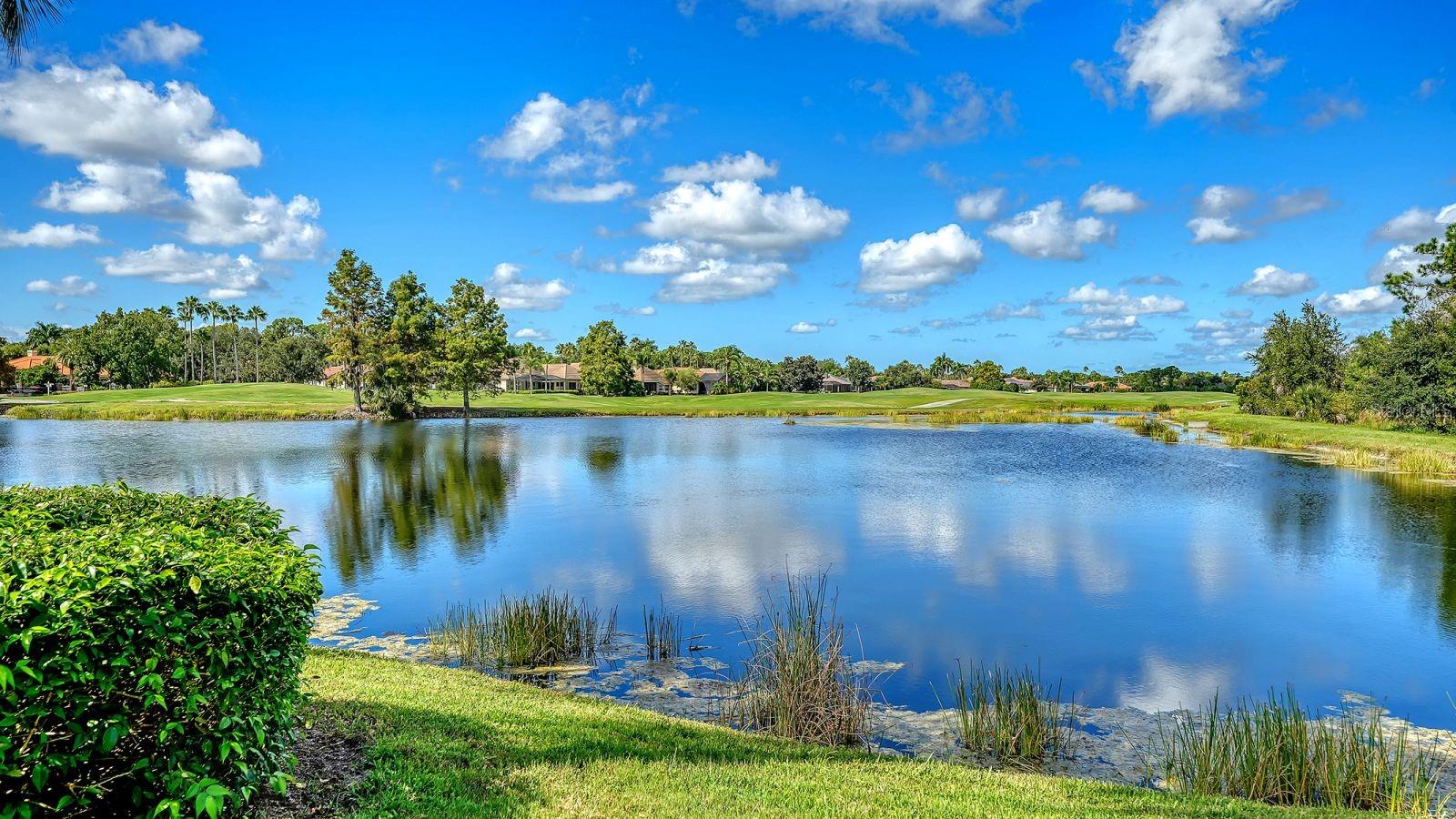 6734 PEBBLE BEACH WAY, LAKEWOOD RANCH, FL, 34202 2 6734 PEBBLE BEACH WAY