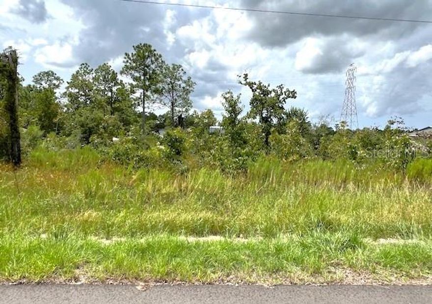 Royal Highlands lot now available for your new Florida home, located in Hernando County Florida. No HOA, .49 acre lot provides room to build. Buy and build or hold for investment.