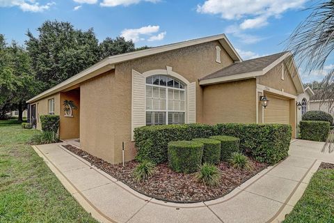 Photo of 12004 Valley Falls Loop, Spring Hill, FL 34609 (MLS # W7874477)