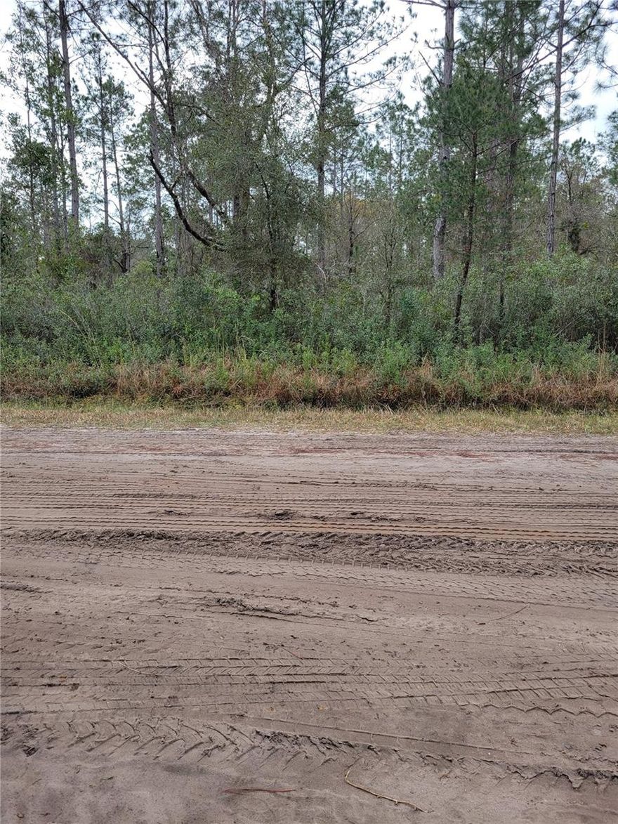 Looking for peace and quiet in the countryside? This acre of land that is just 10 minutes to St. Augustine. Located just off SR 13 in Flagler Estates, with very little traffic. Room for all of your toys, work equipment, and farm animals free of restrictions. Build your new home today!