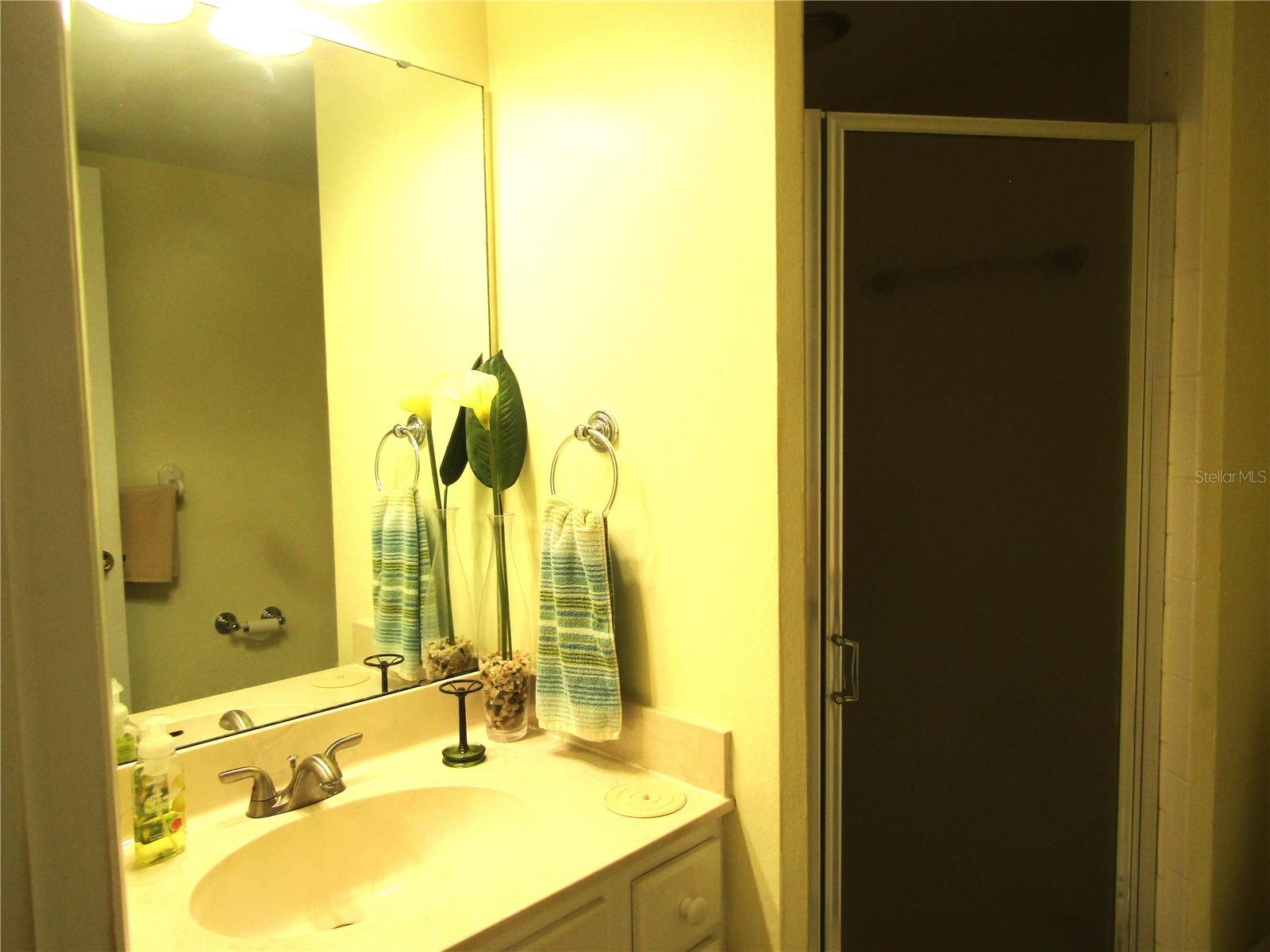 PINEBROOK HOLLOW - Residential