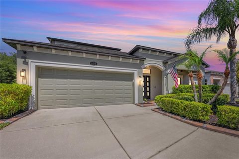 Photo of 11510 Scarlet Ibis Place, Riverview, FL 33569 (MLS # TB8502319)