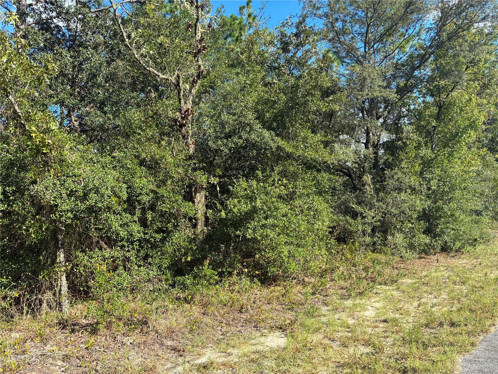 RAINBOW LAKES ESTATE - Land
