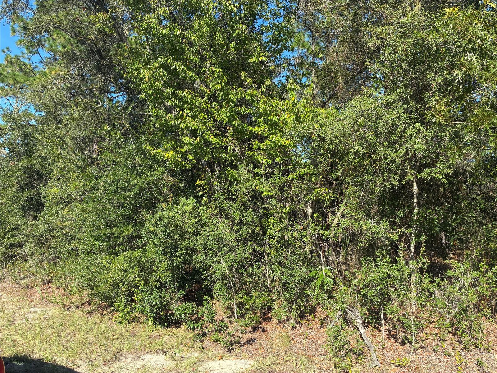 RAINBOW LAKES ESTATE - Land