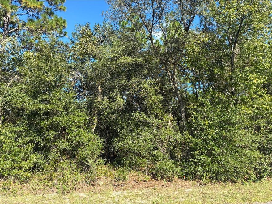 This spacious quarter-acre lot in the desirable community of Rainbow Lakes Estates, located in Dunnellon, FL, offers the perfect canvas for your dream home or investment property. The lot is high and dry, with plenty of room to build and enjoy the peaceful surroundings. With easy access to major roads, this property is ideally located for both privacy and convenience. Nestled in the heart of Dunnellon, FL, this property is surrounded by natural beauty and peaceful, country living, yet it's just minutes away from all the conveniences you need.