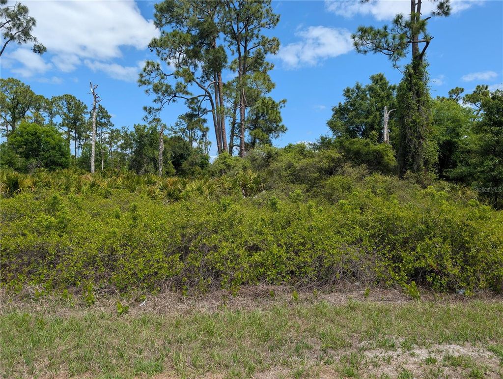 Photo of 784 Washington Boulevard NE, Lake Placid, FL 33852 (MLS # W7884669)