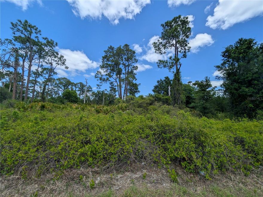 B1-zoned commercial lot located in a mixed-use residential and commercial area near established businesses and Placid Lakes Golf Course. Centrally located with easy access to major roads, shopping, dining, and local lakes. Situated in a peaceful, growing community, this vacant lot offers excellent potential for a spec build, investment, or long-term hold. City utilities available nearby. Strong growth area with increasing demand for housing and new businesses.