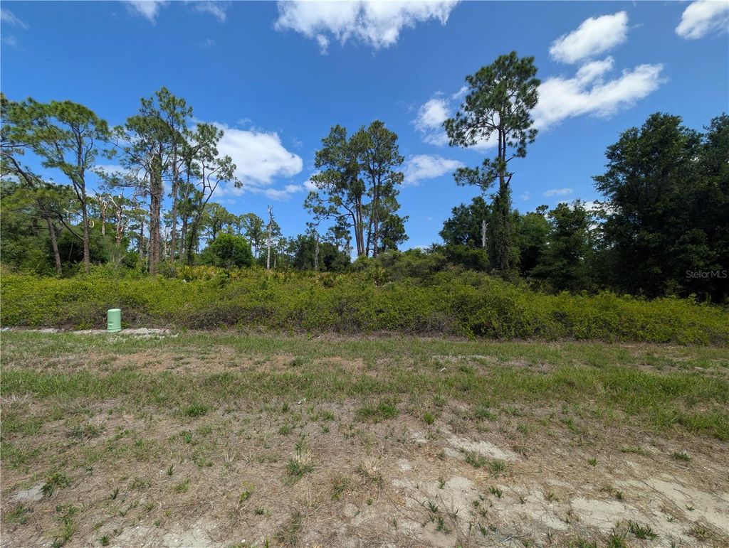 Photo of 784 Washington Boulevard NE, Lake Placid, FL 33852 (MLS # W7884669)
