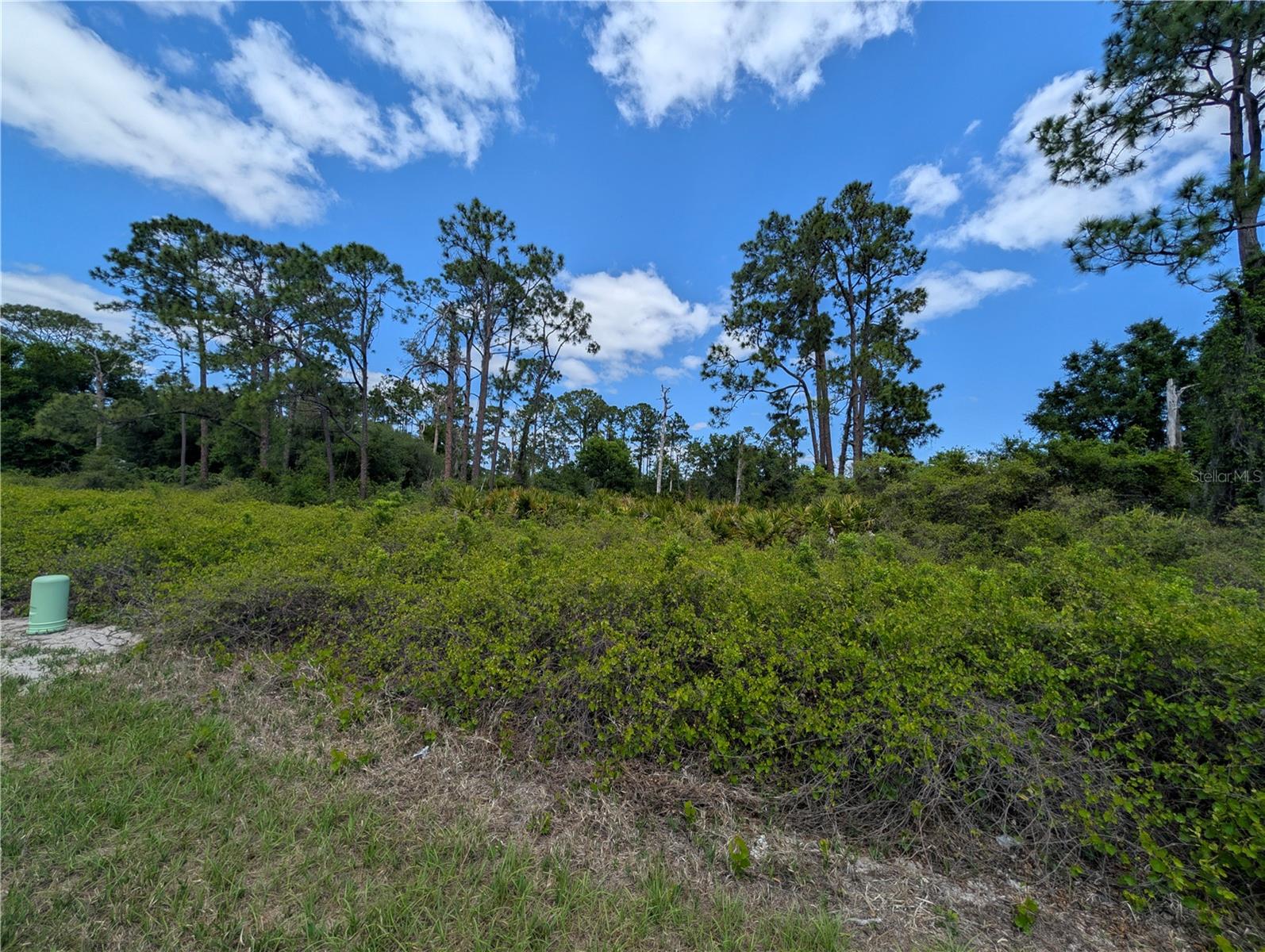 784 WASHINGTON BOULEVARD NE