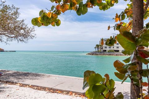 A home in ST PETE BEACH