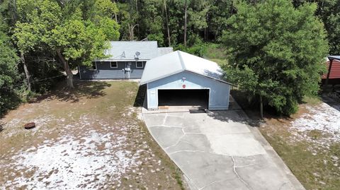 Photo of 25801 Blue Lakes Drive, Paisley, FL 32767 (MLS # V4948702)