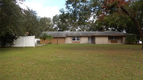 A home in PLANT CITY