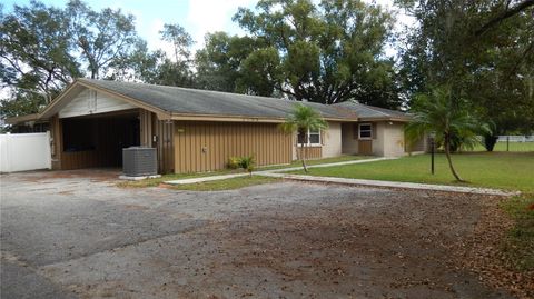 A home in PLANT CITY