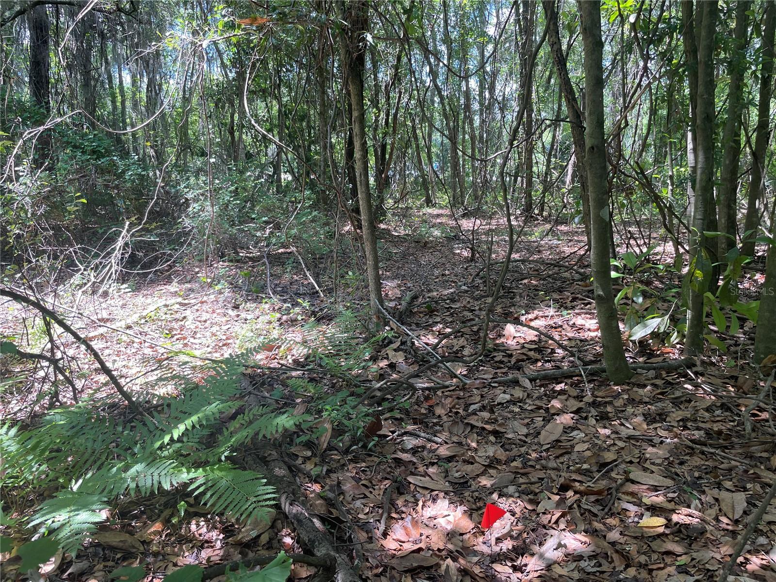 WADSWORTH & JOHNSON - Land