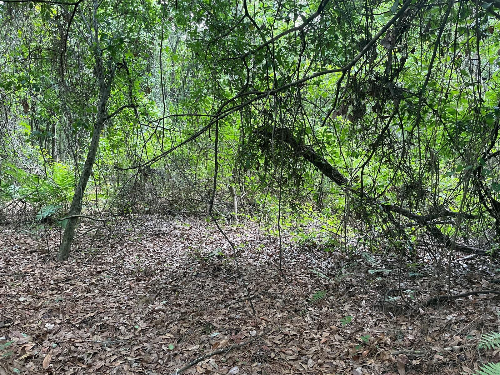 WADSWORTH & JOHNSON - Land