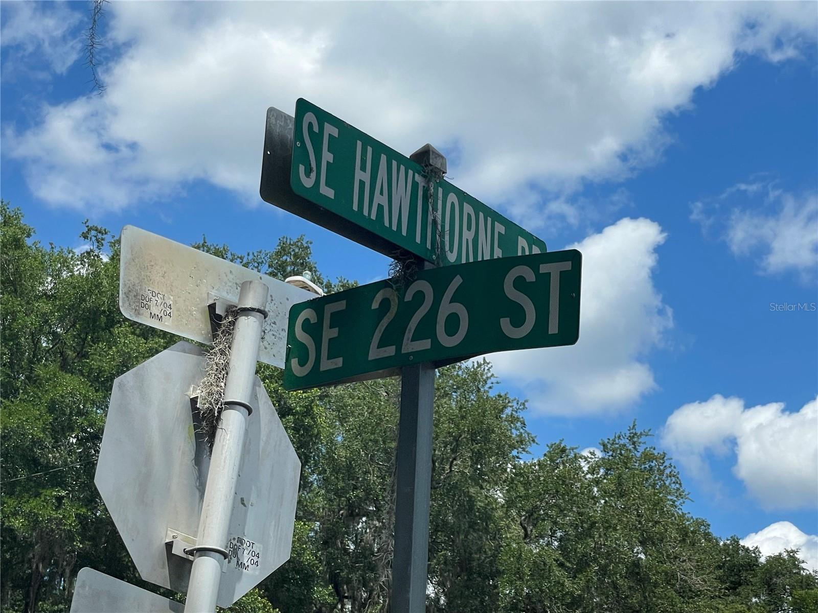 WADSWORTH & JOHNSON - Land