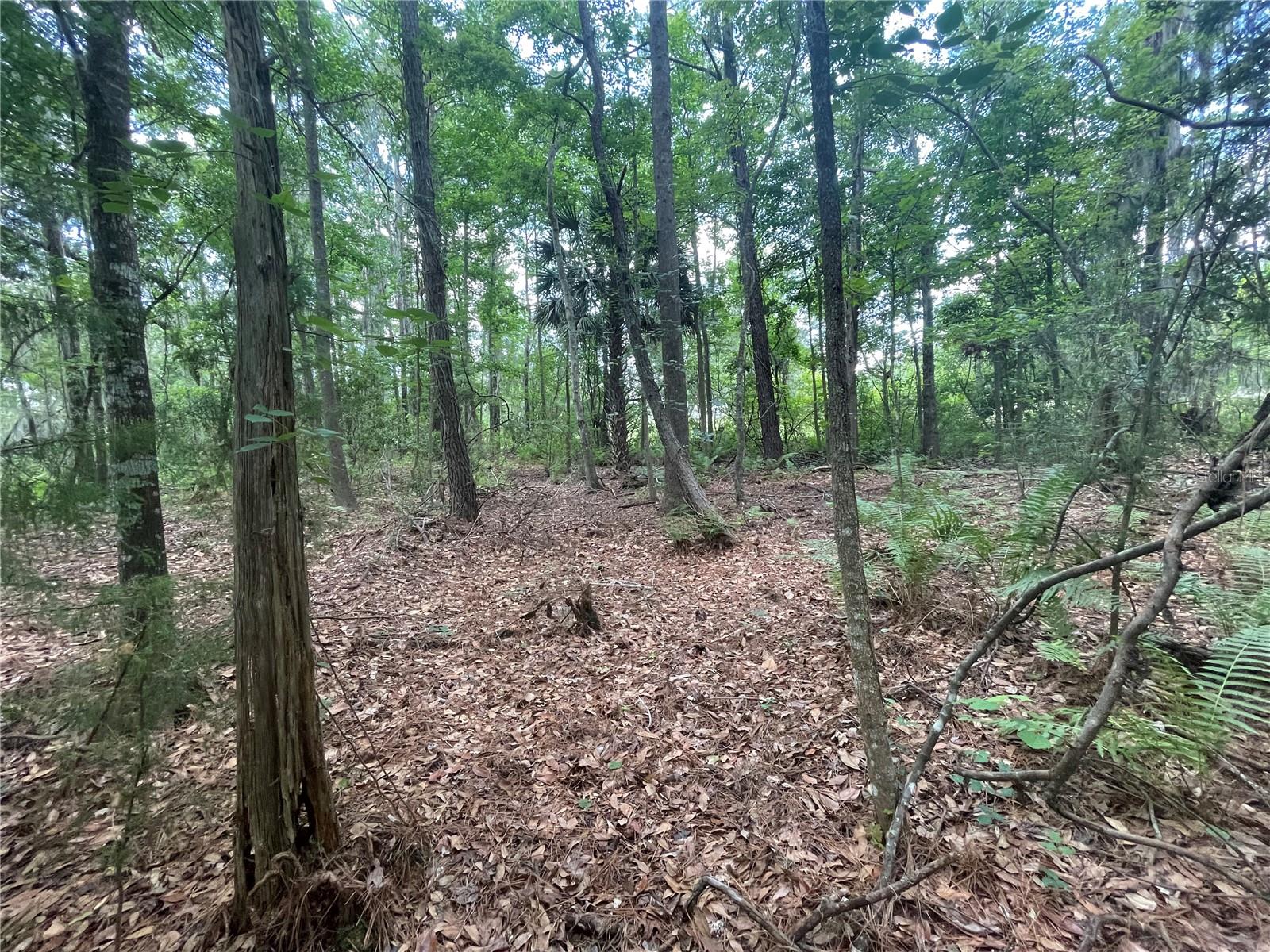 WADSWORTH & JOHNSON - Land