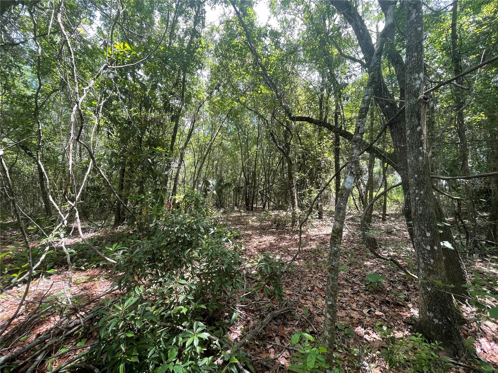 WADSWORTH & JOHNSON - Land