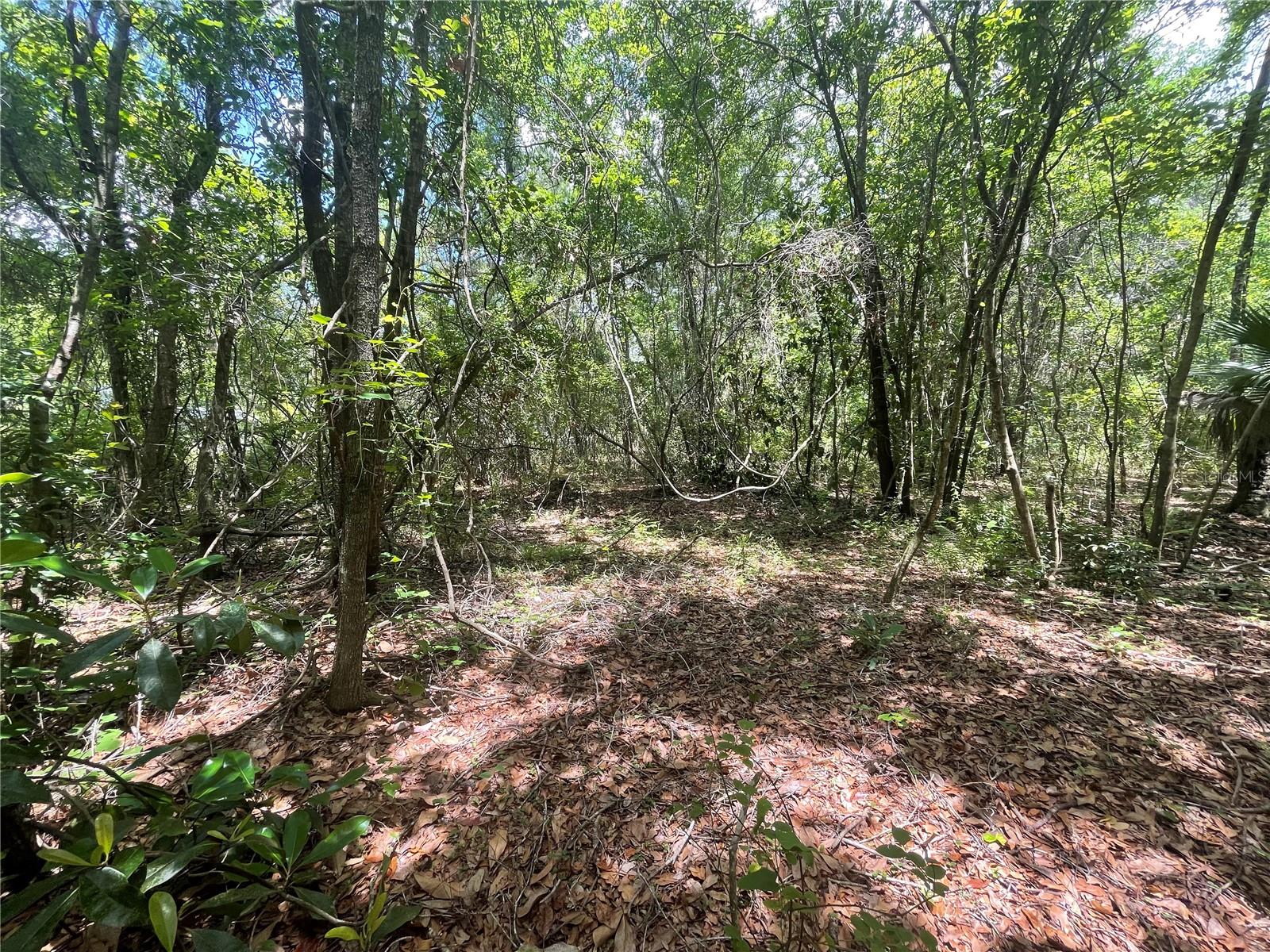 WADSWORTH & JOHNSON - Land