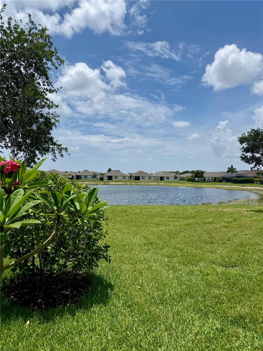 RIVER CLUB - Residential