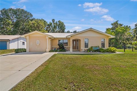 1119 CR 457 LAKE PANASOFFKEE FL 33538