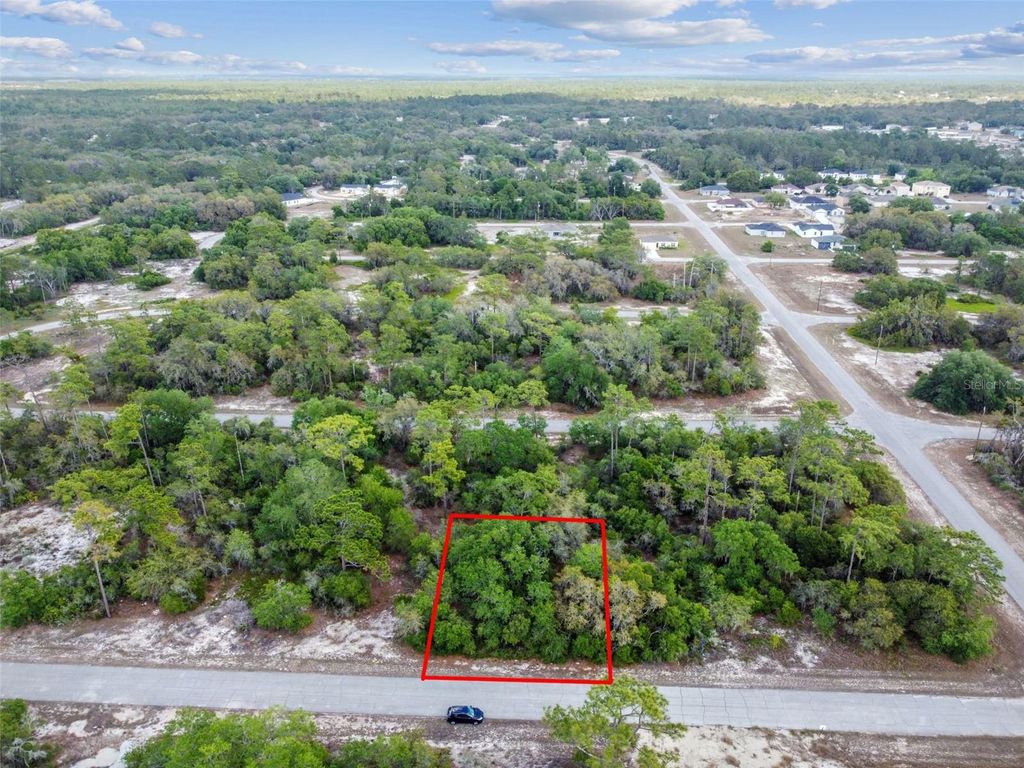 Photo of 1305 Homosassa Court, Kissimmee, FL 34759 (MLS # O6374670)