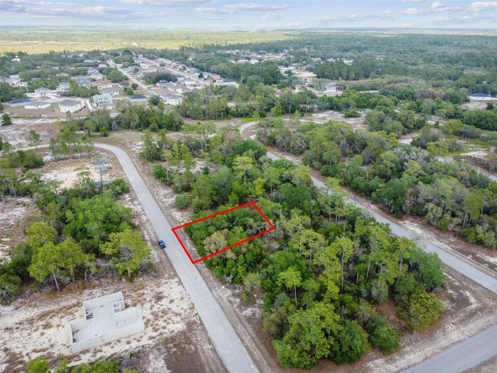 Photo of 1305 Homosassa Court, Kissimmee, FL 34759 (MLS # O6374670)