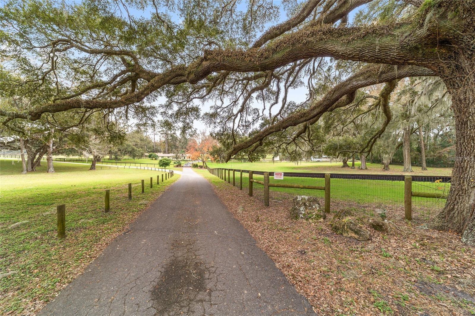 20 acre farm off 225A / Millionaires Road: Here’s your chance to own a beautiful 20 acre working horse farm tucked away off 225A on a private quiet street. 5 minutes to WEC and 10 minutes to HITS. This farm has some of the most spectacular Live Oaks that you’ll find in Ocala. This completely private farm features a stunning contemporary 3 bedroom 2 bath home with a pool and carport. A 17 stall barn with 2 apartments, plenty of storage areas, and separate tack and laundry room. Also, there is a irrigated grass jump field on top of a large hill, perfect for working your horses. Priced to sell! Must see.