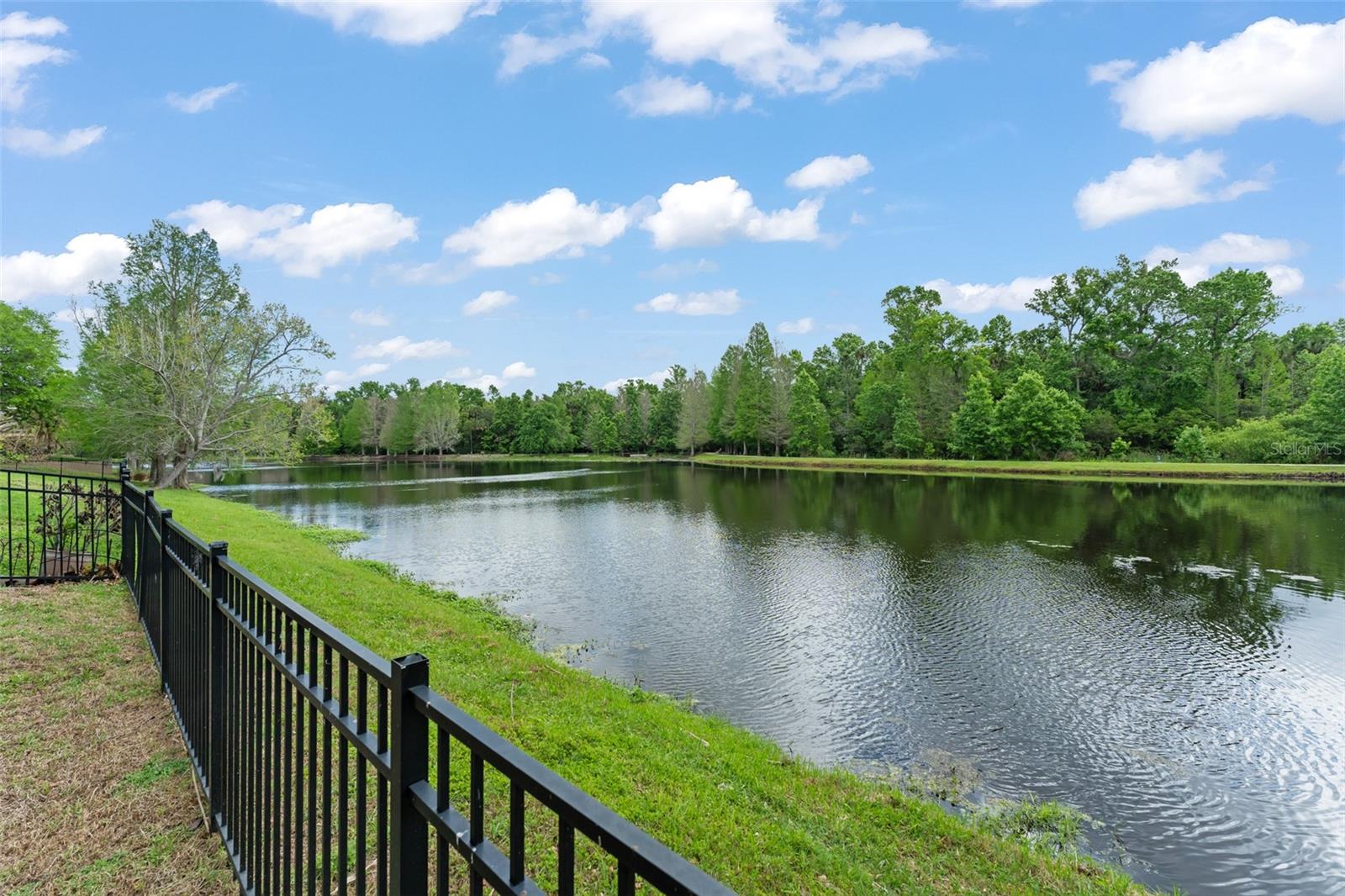 CELEBRATION EAST VILLAGE UNIT 1 - Residential