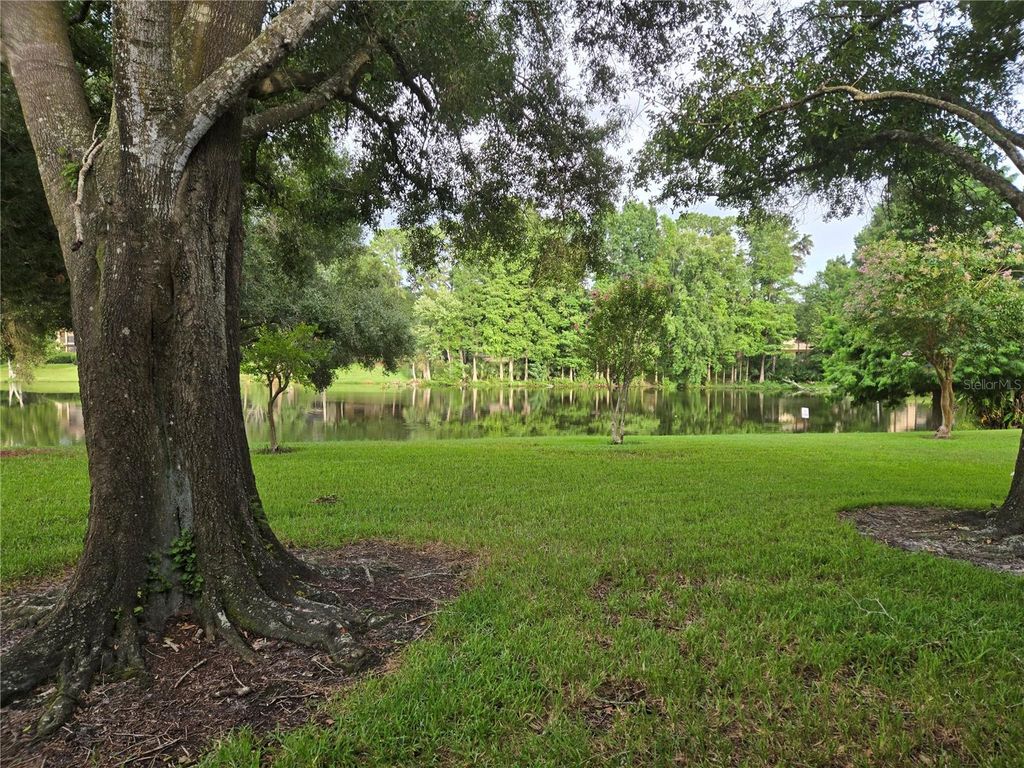 Photo of 11805 Skylake Place #C, Tampa, FL 33617 (MLS # TB8530220)