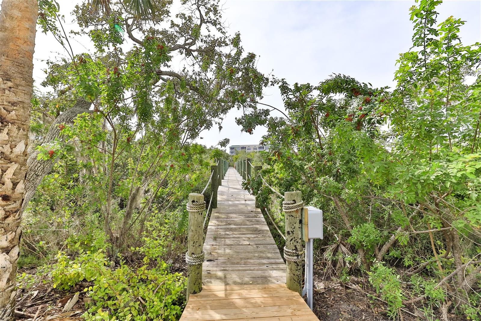 CALLILISA LAND - Residential