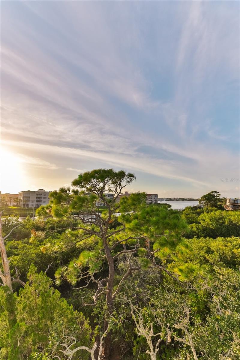 CALLILISA LAND - Residential