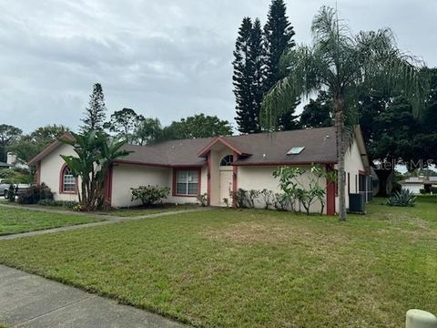 A home in PALM HARBOR