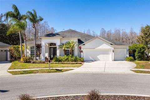 19817 GLAZING GLOBE LANE LUTZ FL 33558