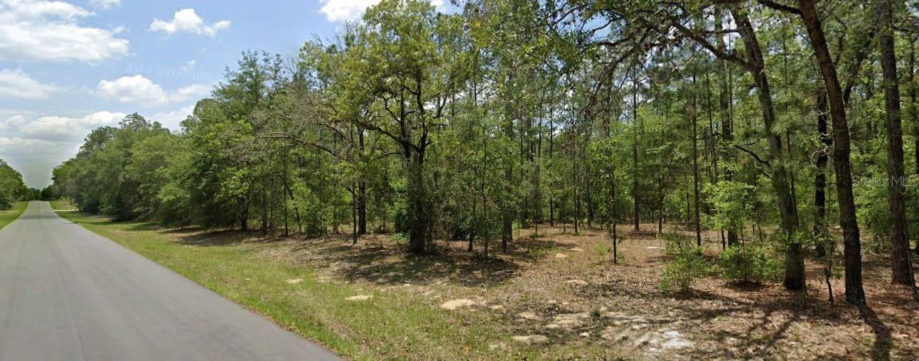 Nice vacant lot