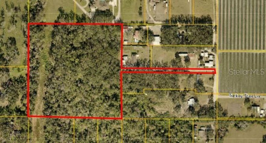 Beautiful undeveloped property with abundant trees and understory growth. If you want a piece of Old Florida, look no further. This property has multiple walking trails, wildlife, mature trees, with endless options for recreation and/or building your dream home. This is a very unique property that has been undisturbed for years. Come out and explore this hidden "Diamond in the Rough", I think you will be pleasantly surprised. Call today to schedule a showing. Thanks