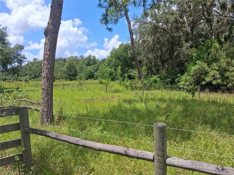 Photo of 409 County Road 542e, Bushnell, FL 33513 (MLS # G5115468)