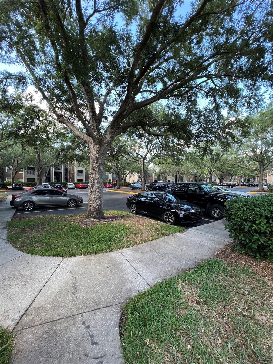 BELMONT/PK CENTRAL CONDO - Residential Lease