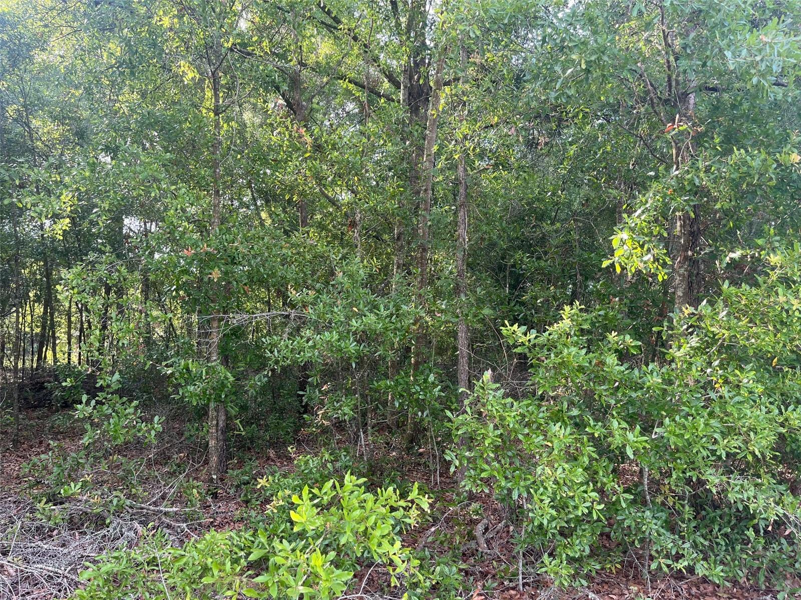 UNIT 2 SPRING RIDGE SUB - Land