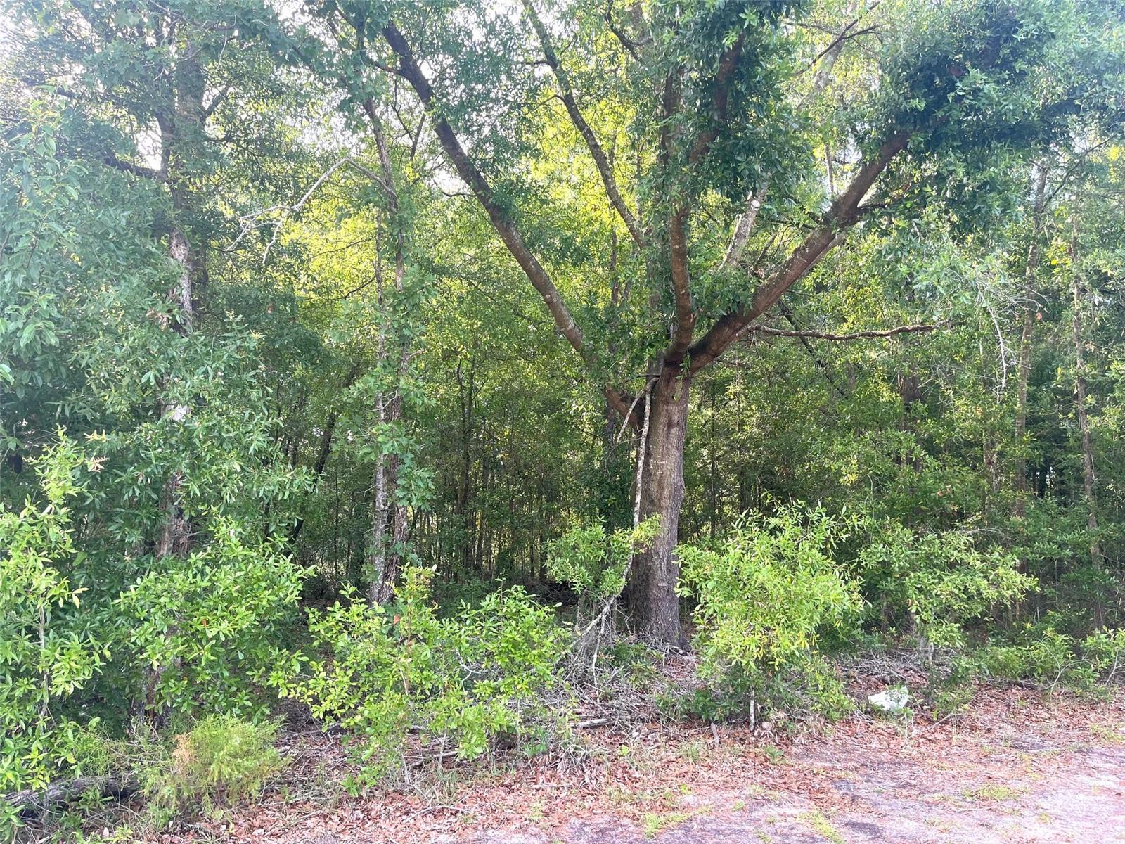 UNIT 2 SPRING RIDGE SUB - Land