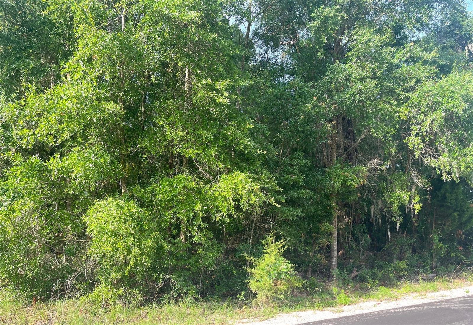 UNIT 2 SPRING RIDGE SUB - Land