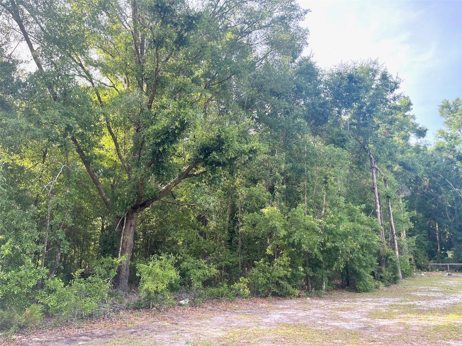 UNIT 2 SPRING RIDGE SUB - Land