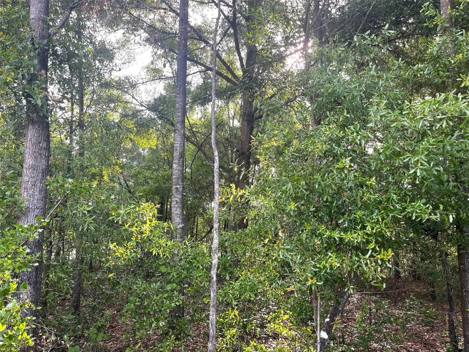 UNIT 2 SPRING RIDGE SUB - Land