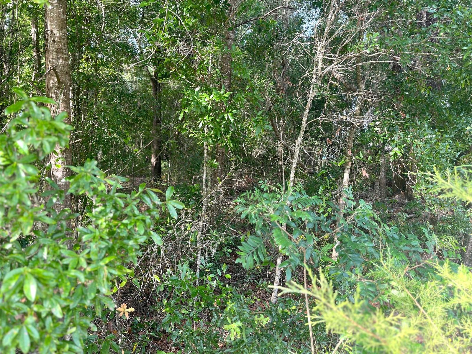 UNIT 2 SPRING RIDGE SUB - Land