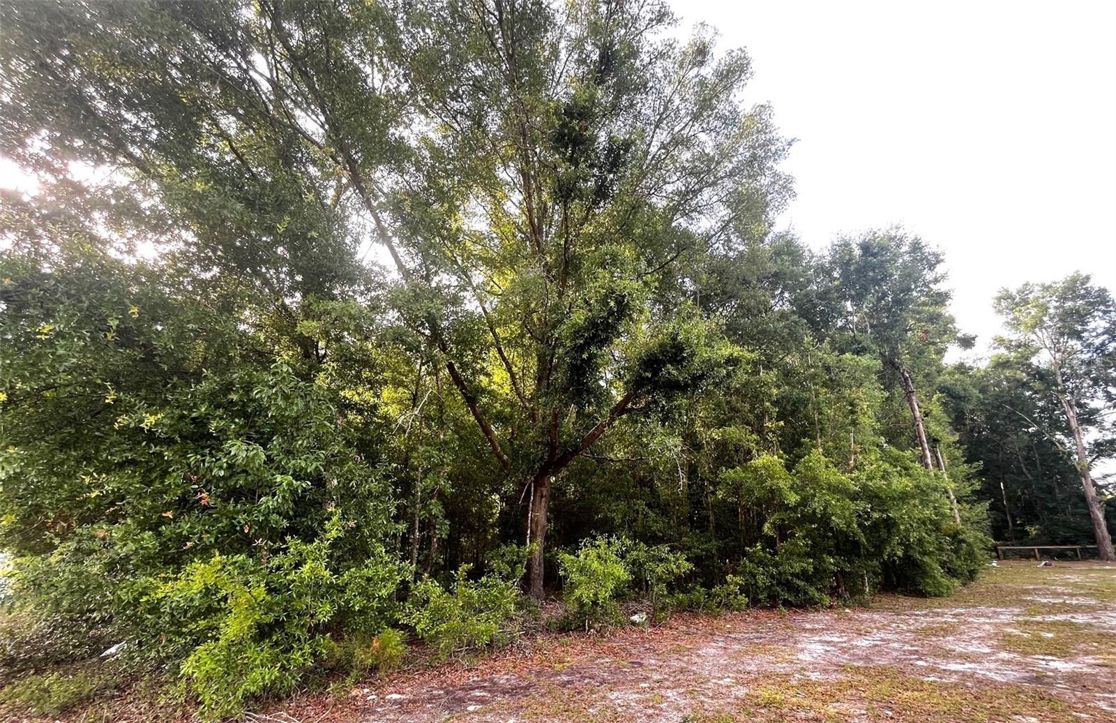 UNIT 2 SPRING RIDGE SUB - Land