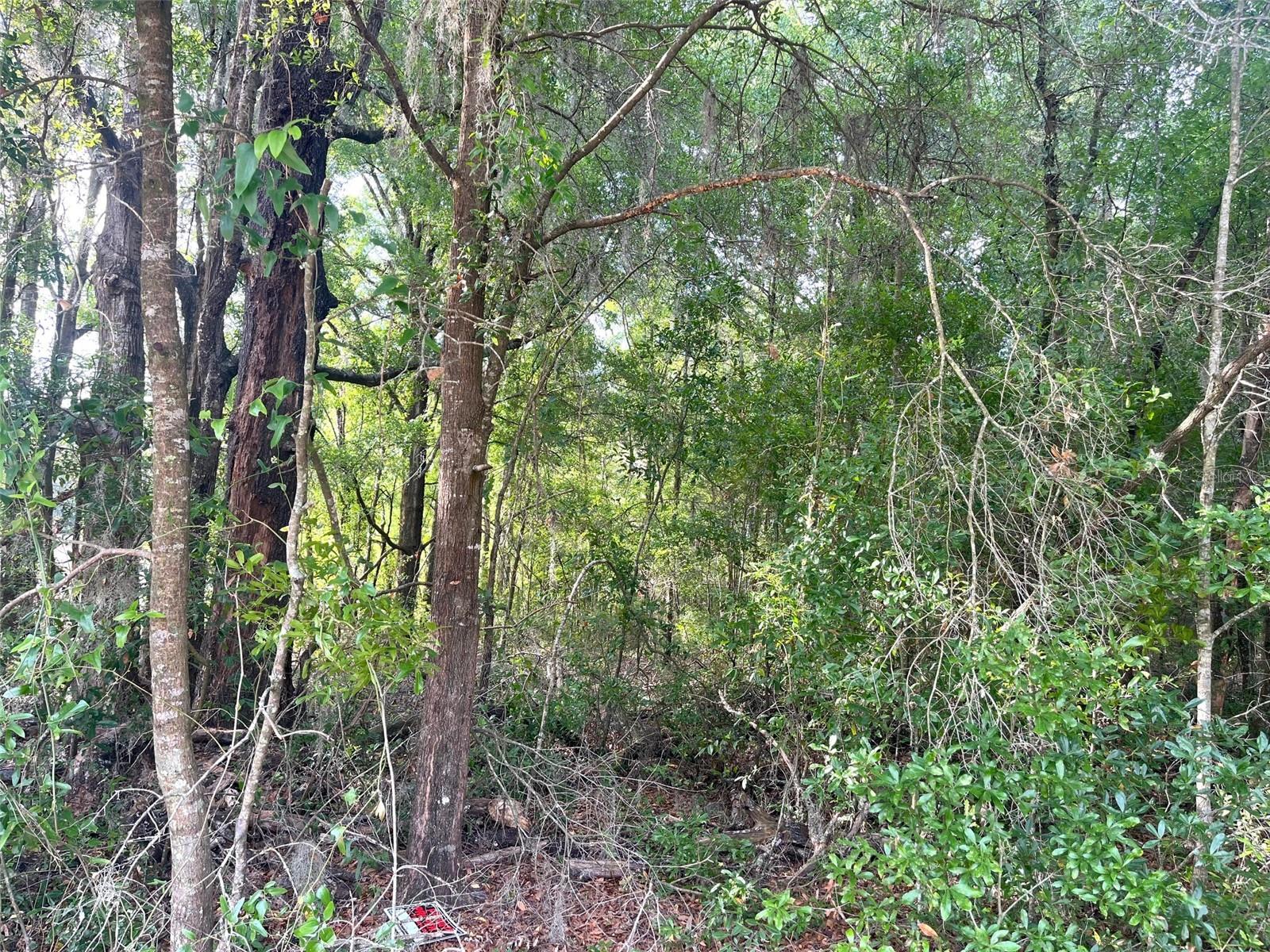 UNIT 2 SPRING RIDGE SUB - Land