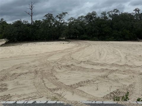 8191 HARDSTONE DRIVE WEBSTER FL 33597