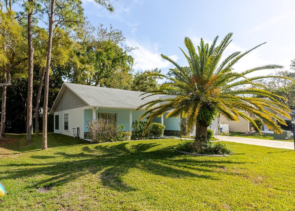 TIMBER PINES - Residential